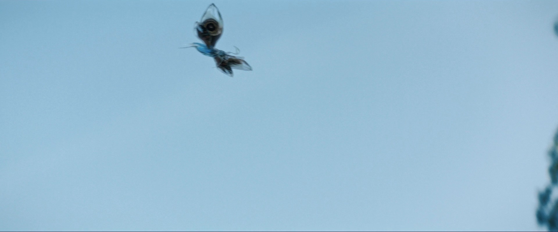 extant_StarTrekDiscovery_ShortTreks0003_TheBrightestStar_0704.jpg