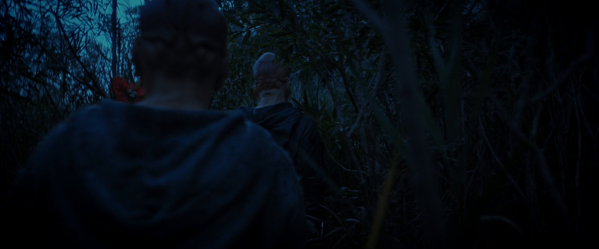 extant_StarTrekDiscovery_ShortTreks0003_TheBrightestStar_1010.jpg