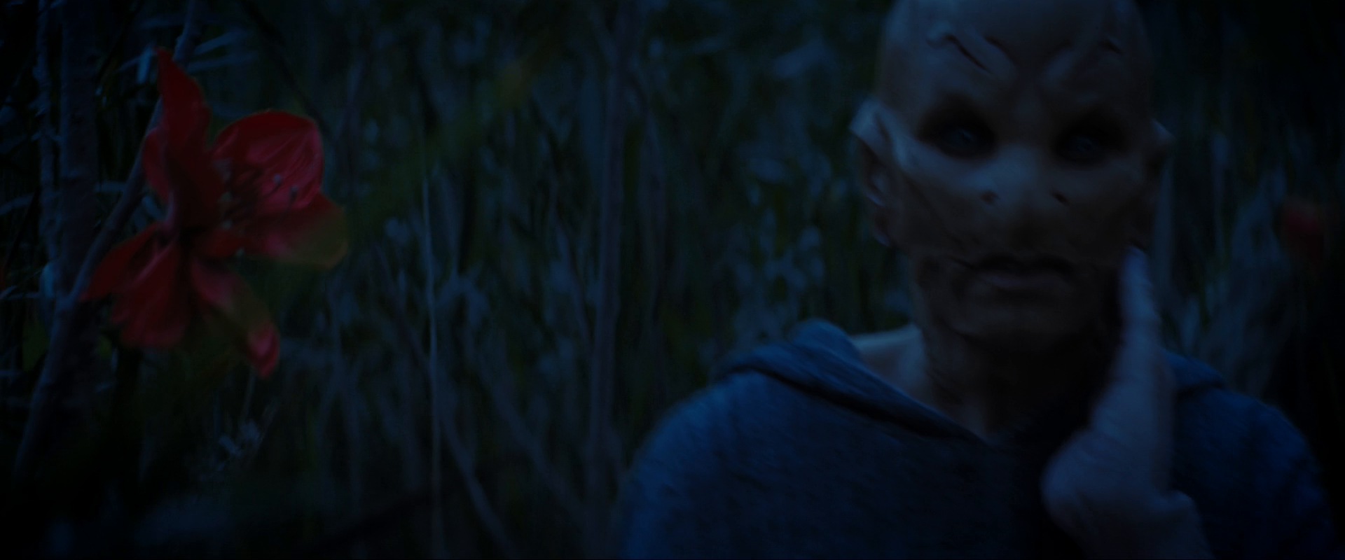 extant_StarTrekDiscovery_ShortTreks0003_TheBrightestStar_1018.jpg