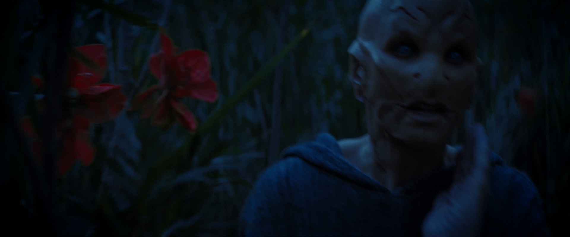 extant_StarTrekDiscovery_ShortTreks0003_TheBrightestStar_1019.jpg