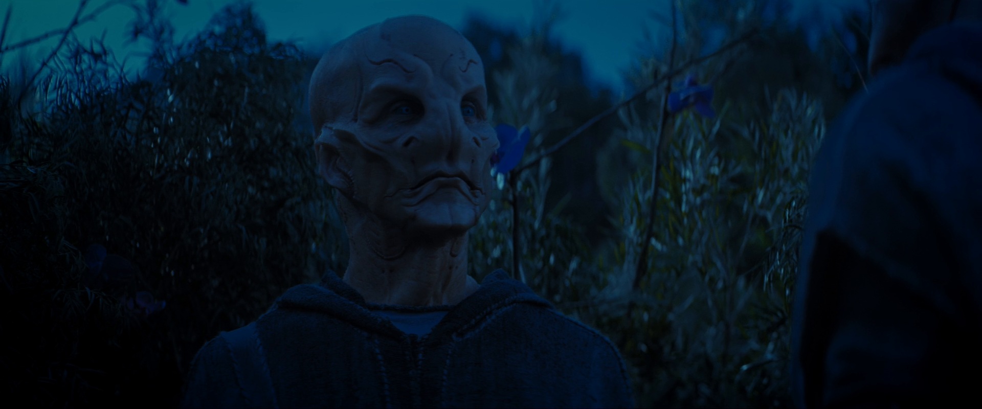 extant_StarTrekDiscovery_ShortTreks0003_TheBrightestStar_1047.jpg