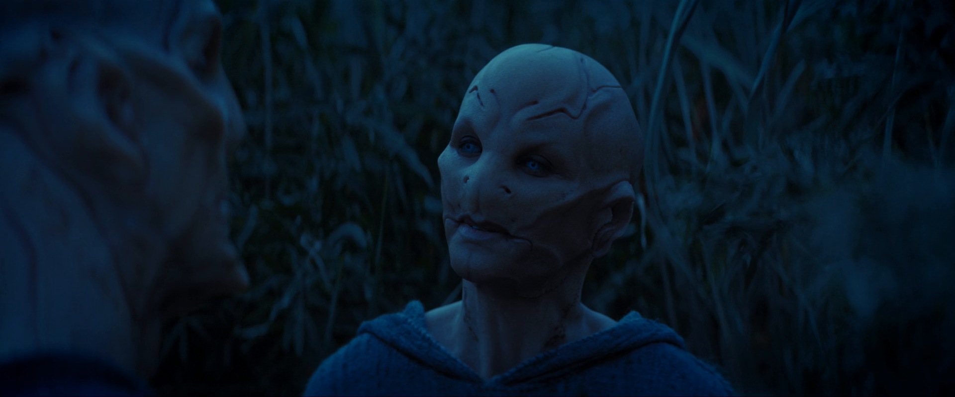 extant_StarTrekDiscovery_ShortTreks0003_TheBrightestStar_1055.jpg