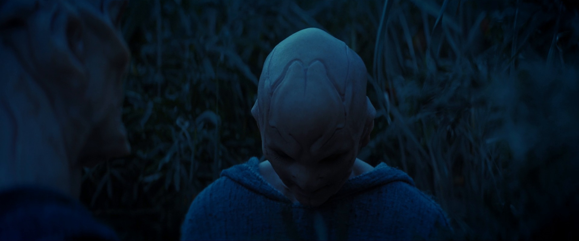 extant_StarTrekDiscovery_ShortTreks0003_TheBrightestStar_1060.jpg