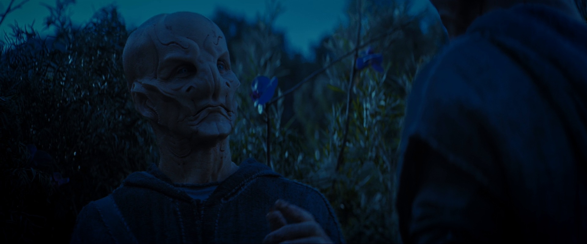 extant_StarTrekDiscovery_ShortTreks0003_TheBrightestStar_1112.jpg