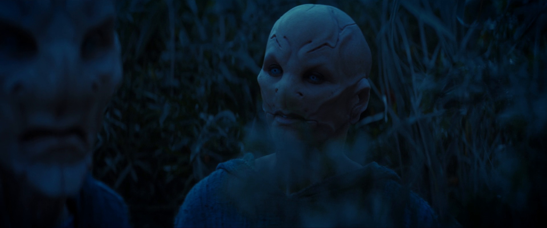 extant_StarTrekDiscovery_ShortTreks0003_TheBrightestStar_1118.jpg