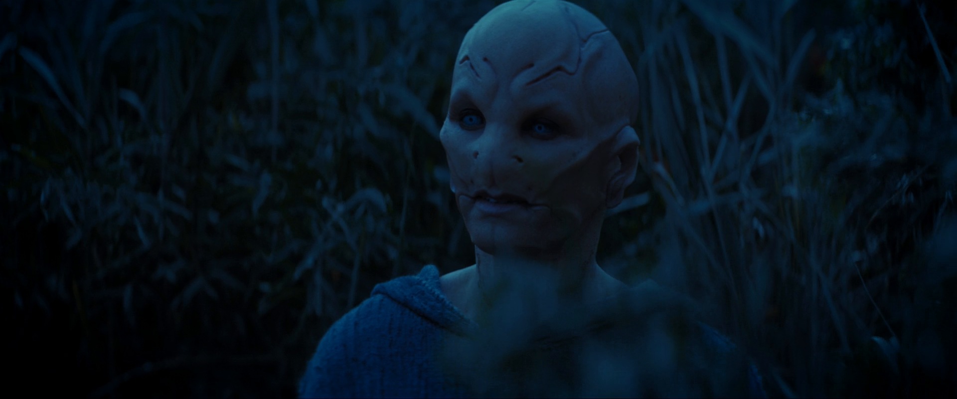 extant_StarTrekDiscovery_ShortTreks0003_TheBrightestStar_1121.jpg