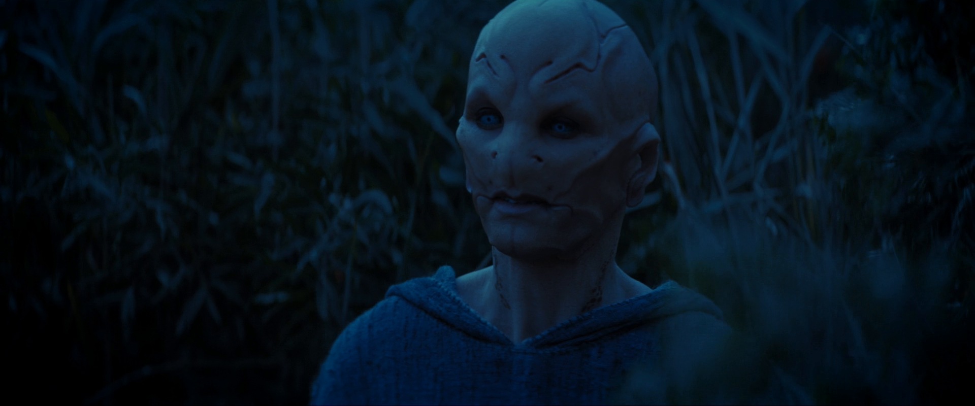 extant_StarTrekDiscovery_ShortTreks0003_TheBrightestStar_1122.jpg
