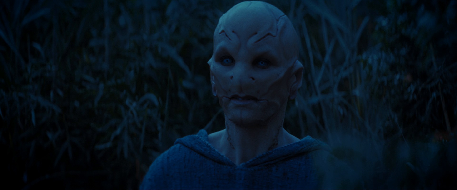extant_StarTrekDiscovery_ShortTreks0003_TheBrightestStar_1124.jpg