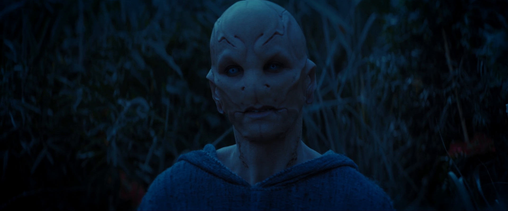 extant_StarTrekDiscovery_ShortTreks0003_TheBrightestStar_1127.jpg