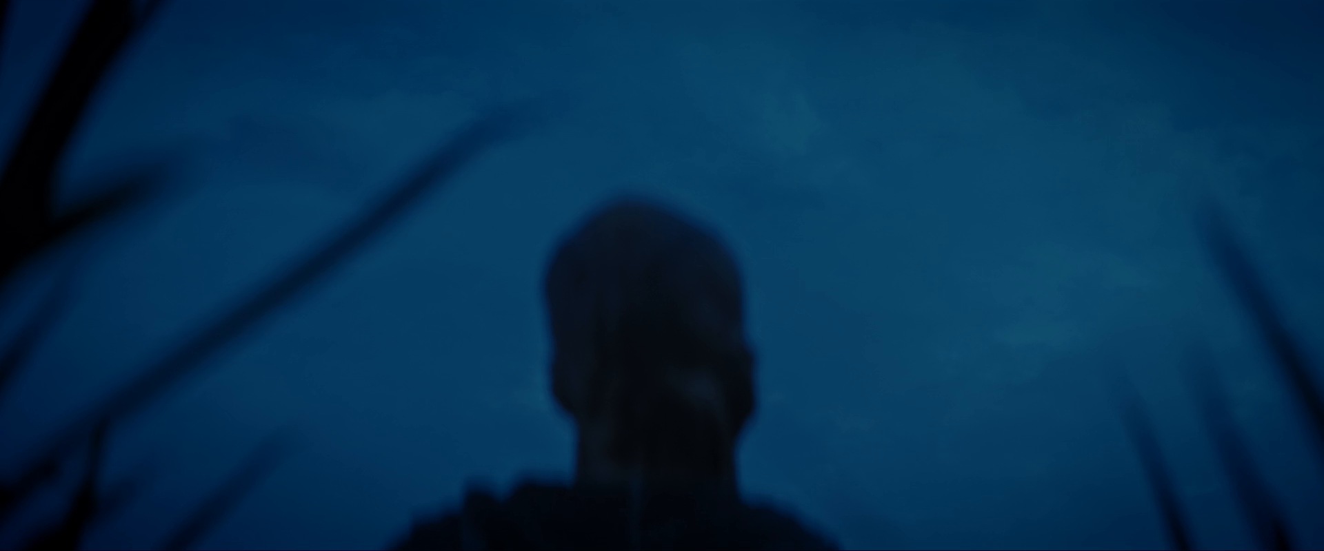 extant_StarTrekDiscovery_ShortTreks0003_TheBrightestStar_1139.jpg
