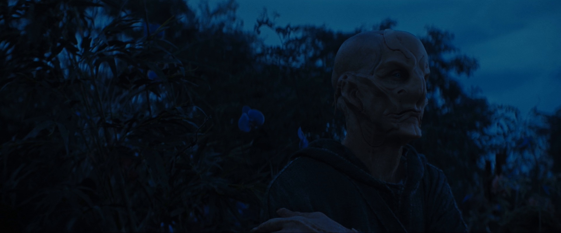 extant_StarTrekDiscovery_ShortTreks0003_TheBrightestStar_1146.jpg