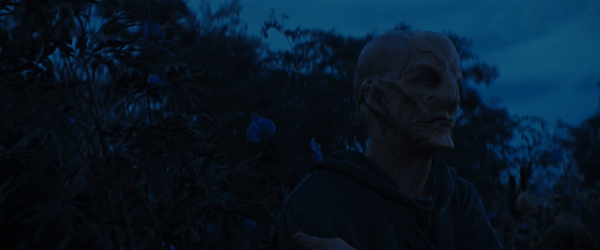 extant_StarTrekDiscovery_ShortTreks0003_TheBrightestStar_1147.jpg