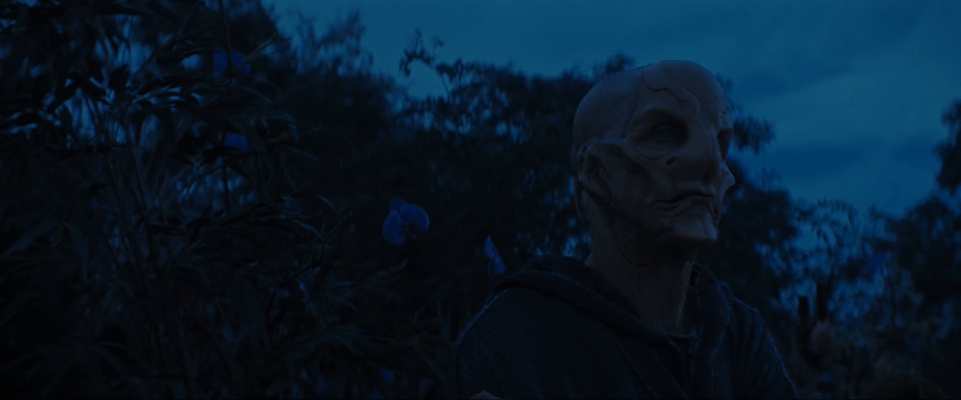 extant_StarTrekDiscovery_ShortTreks0003_TheBrightestStar_1148.jpg