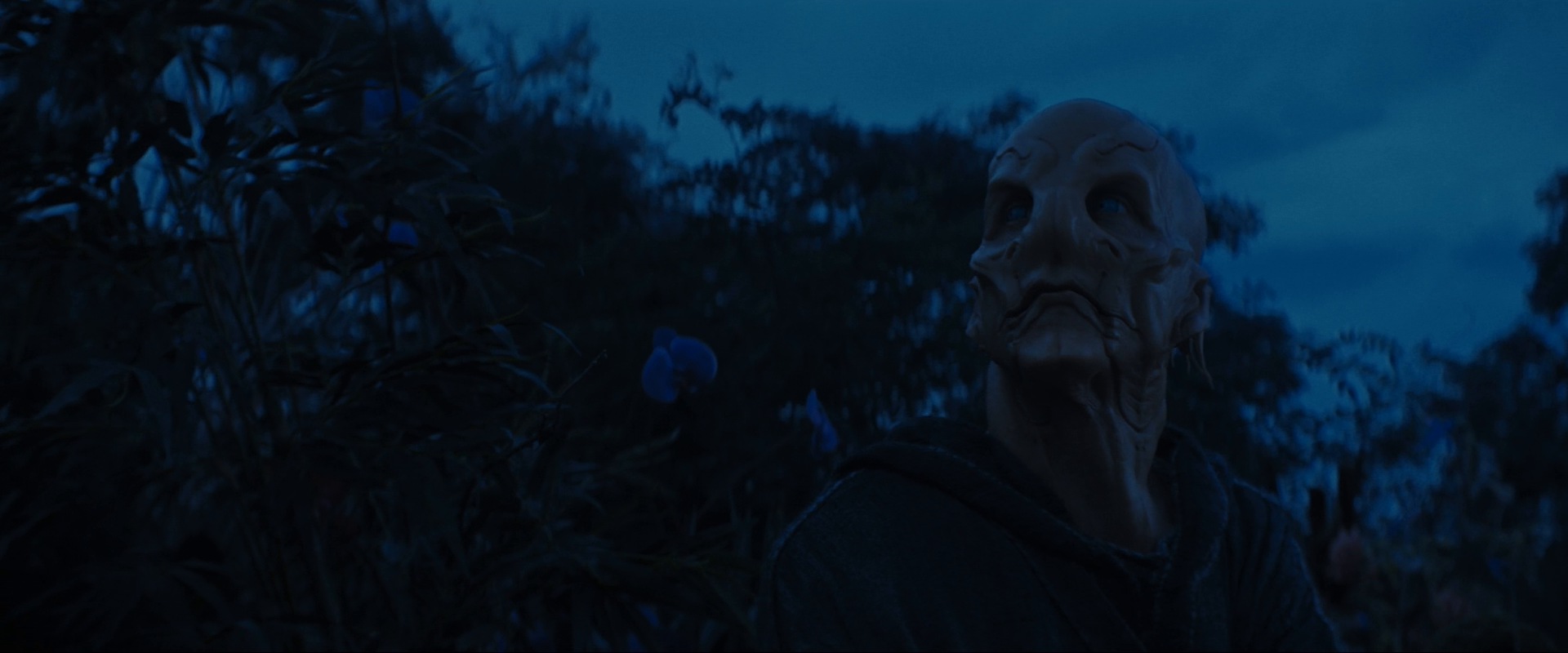 extant_StarTrekDiscovery_ShortTreks0003_TheBrightestStar_1149.jpg