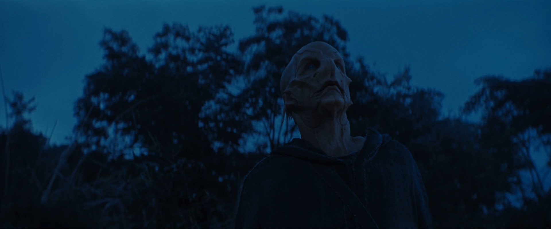 extant_StarTrekDiscovery_ShortTreks0003_TheBrightestStar_1163.jpg