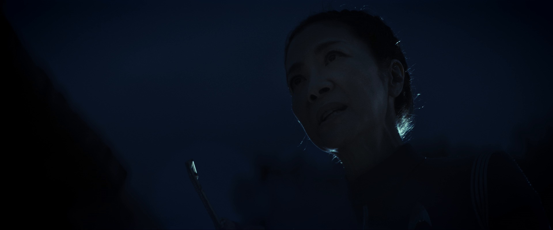extant_StarTrekDiscovery_ShortTreks0003_TheBrightestStar_1345.jpg