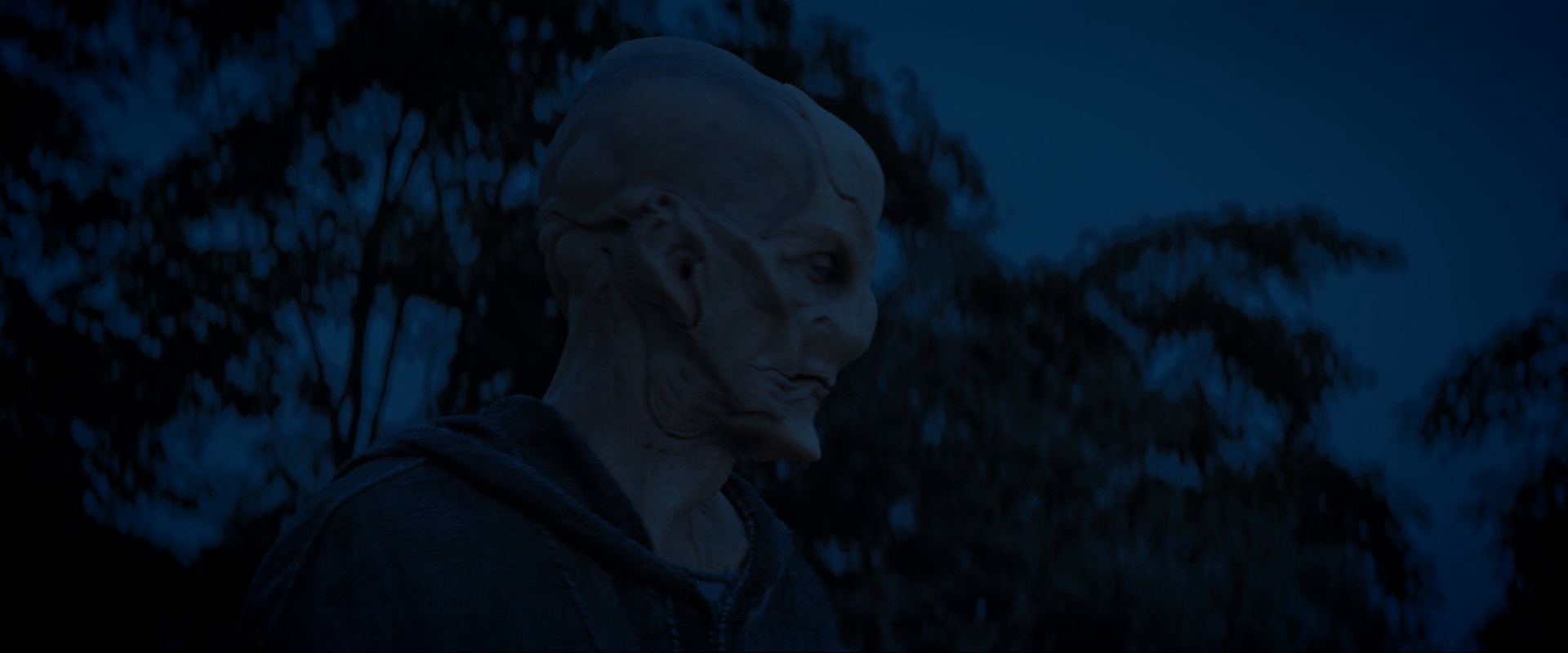 extant_StarTrekDiscovery_ShortTreks0003_TheBrightestStar_1401.jpg