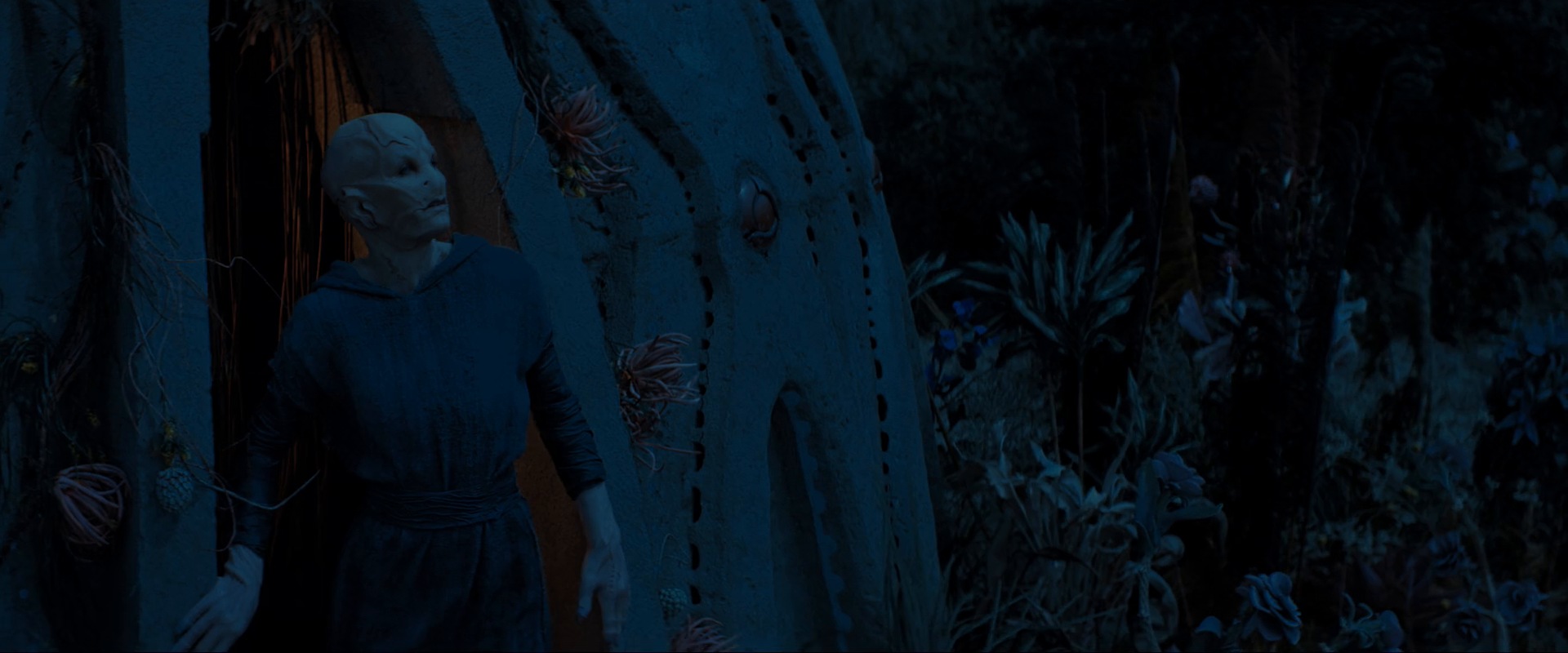 extant_StarTrekDiscovery_ShortTreks0003_TheBrightestStar_1445.jpg
