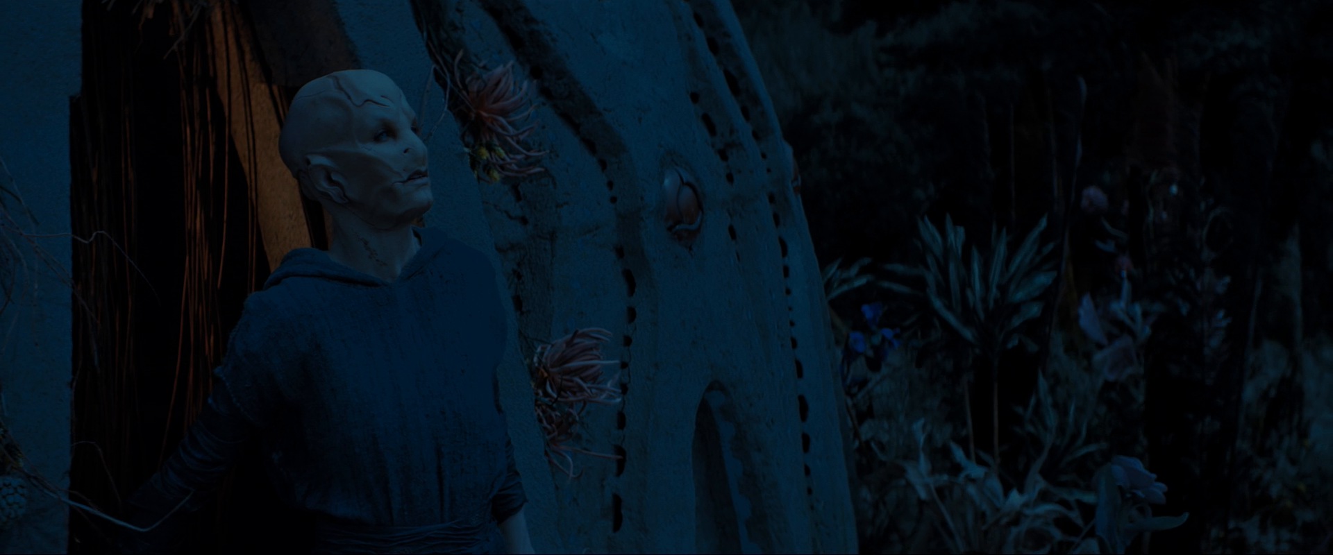 extant_StarTrekDiscovery_ShortTreks0003_TheBrightestStar_1449.jpg