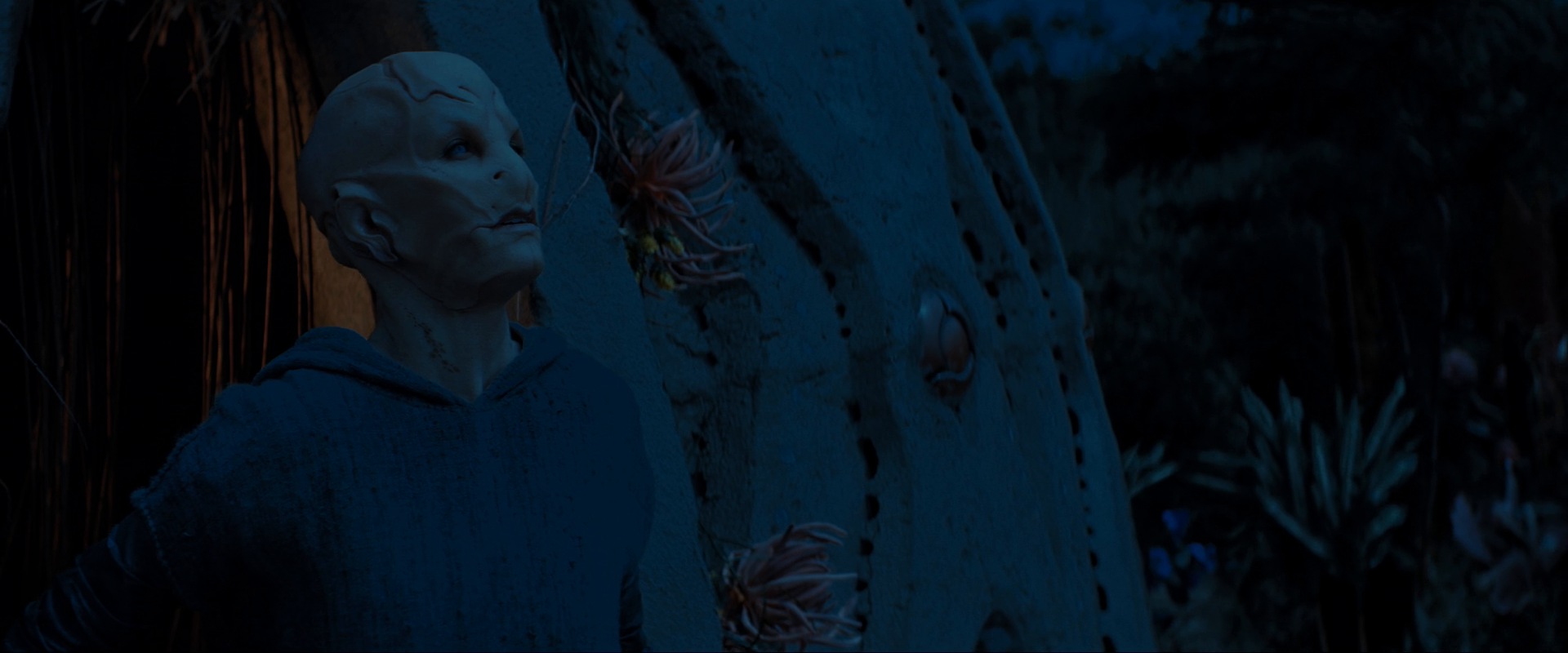 extant_StarTrekDiscovery_ShortTreks0003_TheBrightestStar_1453.jpg