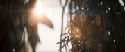 Filename=extant_StarTrekDiscovery_ShortTreks0003_TheBrightestStar_0056.jpg
Filesize=203KiB
Dimensions=1920x800
Date added=Dec 09, 2018 extant_StarTrekDiscovery_ShortTreks0003_TheBrightestStar_0056.jpg