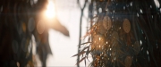 Filename=extant_StarTrekDiscovery_ShortTreks0003_TheBrightestStar_0057.jpg
Filesize=205KiB
Dimensions=1920x800
Date added=Dec 09, 2018 extant_StarTrekDiscovery_ShortTreks0003_TheBrightestStar_0057.jpg