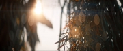 Filename=extant_StarTrekDiscovery_ShortTreks0003_TheBrightestStar_0058.jpg
Filesize=208KiB
Dimensions=1920x800
Date added=Dec 09, 2018 extant_StarTrekDiscovery_ShortTreks0003_TheBrightestStar_0058.jpg