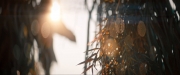 Filename=extant_StarTrekDiscovery_ShortTreks0003_TheBrightestStar_0059.jpg
Filesize=199KiB
Dimensions=1920x800
Date added=Dec 09, 2018 extant_StarTrekDiscovery_ShortTreks0003_TheBrightestStar_0059.jpg