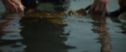 Filename=extant_StarTrekDiscovery_ShortTreks0003_TheBrightestStar_0085.jpg
Filesize=161KiB
Dimensions=1920x800
Date added=Dec 09, 2018 extant_StarTrekDiscovery_ShortTreks0003_TheBrightestStar_0085.jpg