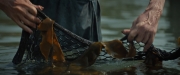 Filename=extant_StarTrekDiscovery_ShortTreks0003_TheBrightestStar_0087.jpg
Filesize=231KiB
Dimensions=1920x800
Date added=Dec 09, 2018 extant_StarTrekDiscovery_ShortTreks0003_TheBrightestStar_0087.jpg