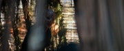 Filename=extant_StarTrekDiscovery_ShortTreks0003_TheBrightestStar_0252.jpg
Filesize=244KiB
Dimensions=1920x800
Date added=Dec 09, 2018 extant_StarTrekDiscovery_ShortTreks0003_TheBrightestStar_0252.jpg