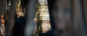 Filename=extant_StarTrekDiscovery_ShortTreks0003_TheBrightestStar_0253.jpg
Filesize=225KiB
Dimensions=1920x800
Date added=Dec 09, 2018 extant_StarTrekDiscovery_ShortTreks0003_TheBrightestStar_0253.jpg