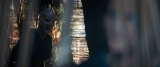 Filename=extant_StarTrekDiscovery_ShortTreks0003_TheBrightestStar_0255.jpg
Filesize=212KiB
Dimensions=1920x800
Date added=Dec 09, 2018 extant_StarTrekDiscovery_ShortTreks0003_TheBrightestStar_0255.jpg