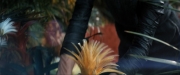 extant_StarTrekDiscovery_ShortTreks0003_TheBrightestStar_0683.jpg