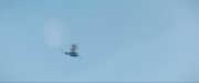 extant_StarTrekDiscovery_ShortTreks0003_TheBrightestStar_0701.jpg