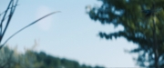 extant_StarTrekDiscovery_ShortTreks0003_TheBrightestStar_0707.jpg