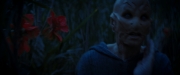 Filename=extant_StarTrekDiscovery_ShortTreks0003_TheBrightestStar_1019.jpg
Filesize=134KiB
Dimensions=1920x800
Date added=Dec 09, 2018 extant_StarTrekDiscovery_ShortTreks0003_TheBrightestStar_1019.jpg