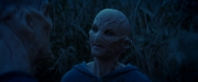 Filename=extant_StarTrekDiscovery_ShortTreks0003_TheBrightestStar_1056.jpg
Filesize=163KiB
Dimensions=1920x800
Date added=Dec 09, 2018 extant_StarTrekDiscovery_ShortTreks0003_TheBrightestStar_1056.jpg