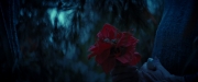 Filename=extant_StarTrekDiscovery_ShortTreks0003_TheBrightestStar_1061.jpg
Filesize=184KiB
Dimensions=1920x800
Date added=Dec 09, 2018 extant_StarTrekDiscovery_ShortTreks0003_TheBrightestStar_1061.jpg
