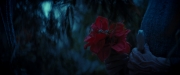 Filename=extant_StarTrekDiscovery_ShortTreks0003_TheBrightestStar_1062.jpg
Filesize=171KiB
Dimensions=1920x800
Date added=Dec 09, 2018 extant_StarTrekDiscovery_ShortTreks0003_TheBrightestStar_1062.jpg