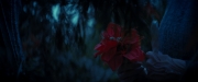 Filename=extant_StarTrekDiscovery_ShortTreks0003_TheBrightestStar_1063.jpg
Filesize=163KiB
Dimensions=1920x800
Date added=Dec 09, 2018 extant_StarTrekDiscovery_ShortTreks0003_TheBrightestStar_1063.jpg