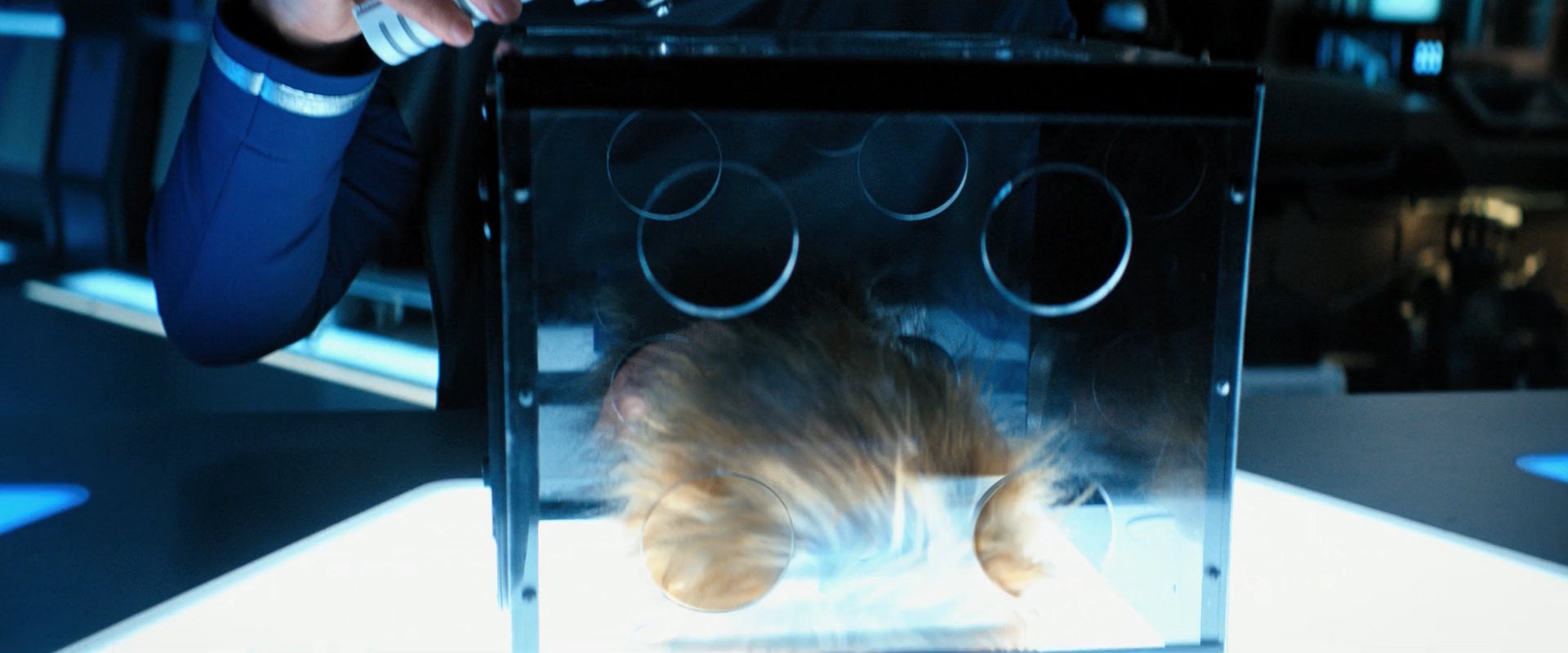 extant_StarTrekDiscovery_ShortTreks0006_TheTroubleWithEdward_00629.jpg