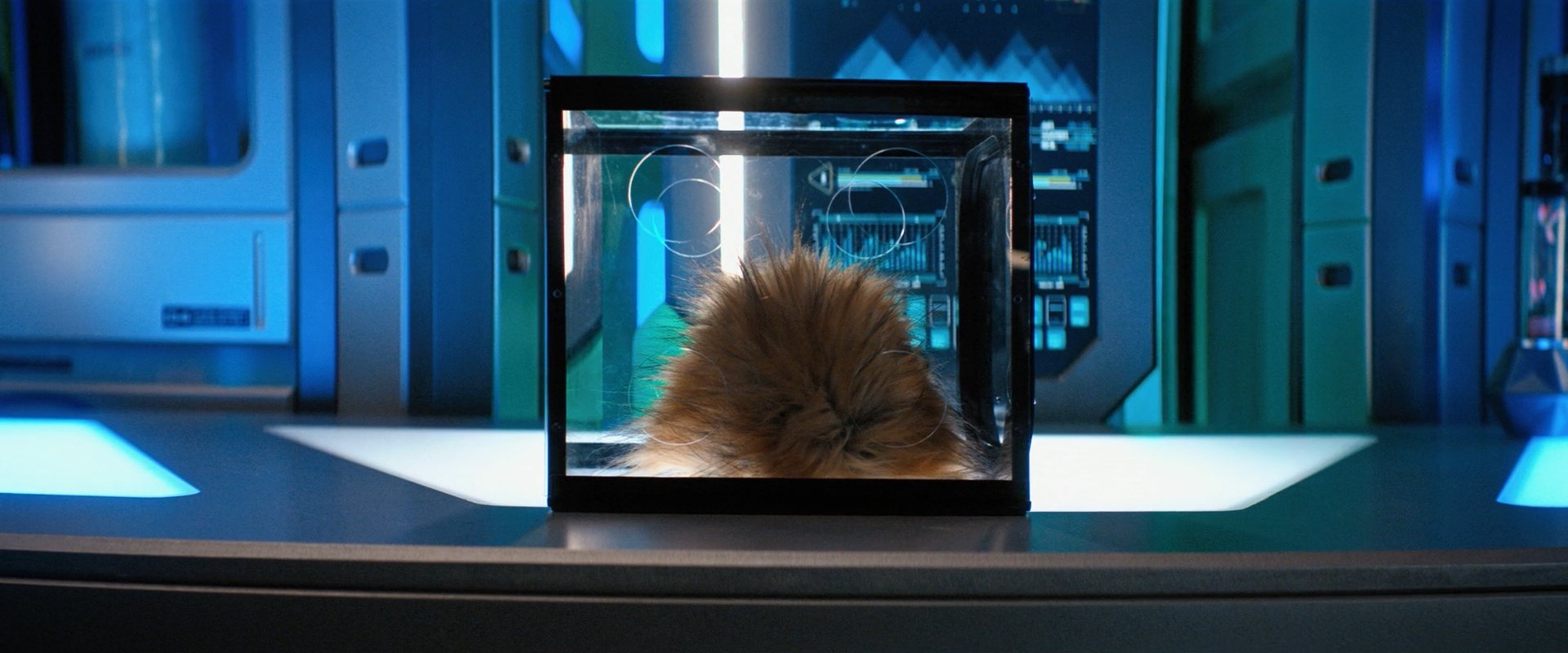 extant_StarTrekDiscovery_ShortTreks0006_TheTroubleWithEdward_00813.jpg