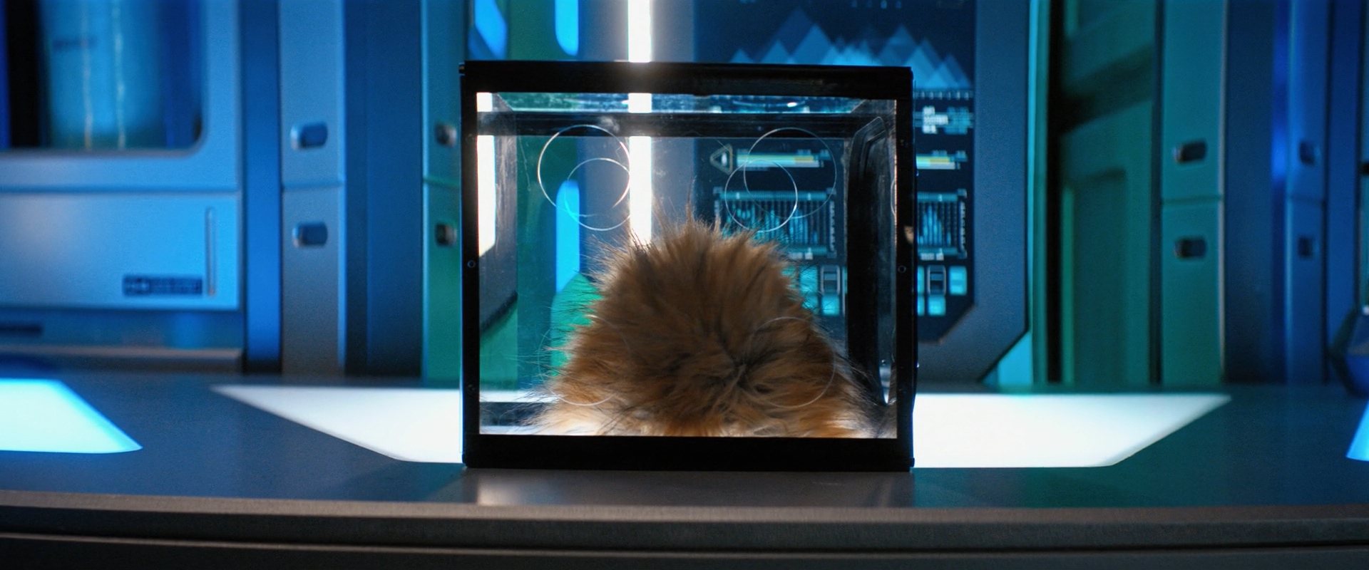 extant_StarTrekDiscovery_ShortTreks0006_TheTroubleWithEdward_00815.jpg