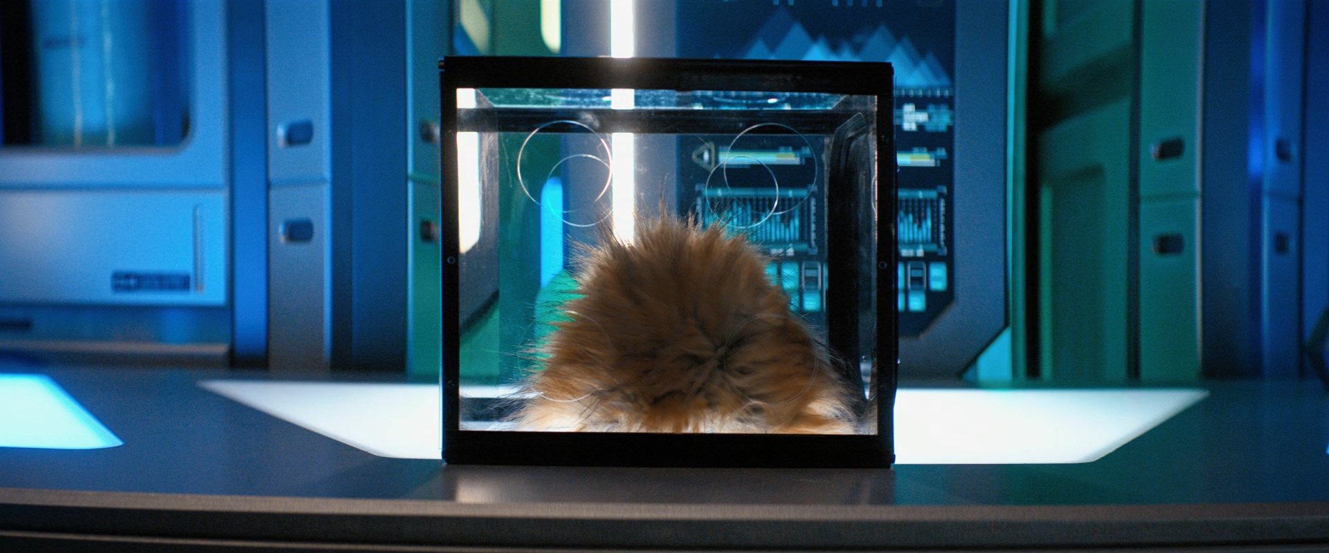 extant_StarTrekDiscovery_ShortTreks0006_TheTroubleWithEdward_00816.jpg