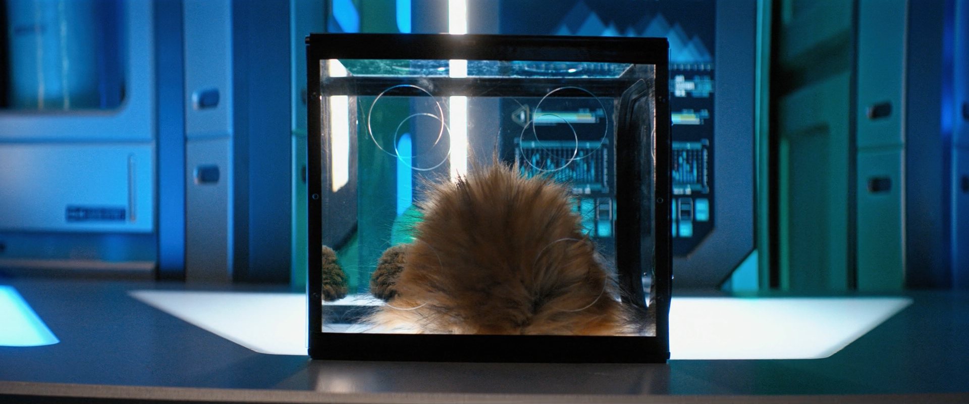 extant_StarTrekDiscovery_ShortTreks0006_TheTroubleWithEdward_00819.jpg