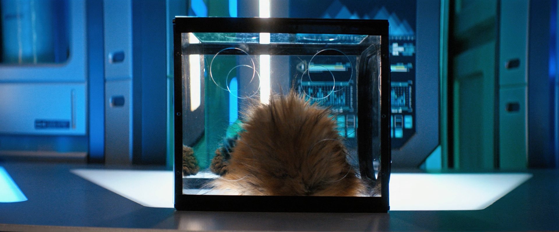 extant_StarTrekDiscovery_ShortTreks0006_TheTroubleWithEdward_00820.jpg