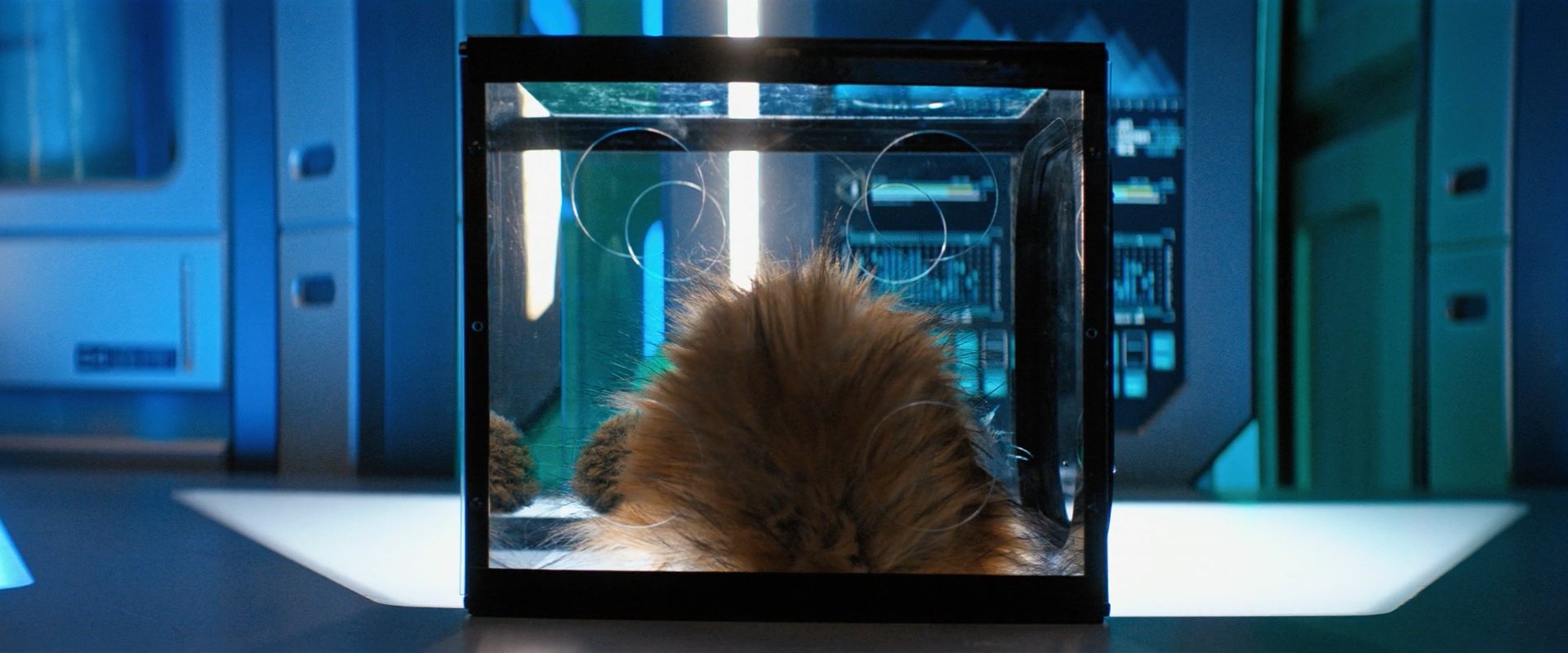 extant_StarTrekDiscovery_ShortTreks0006_TheTroubleWithEdward_00822.jpg