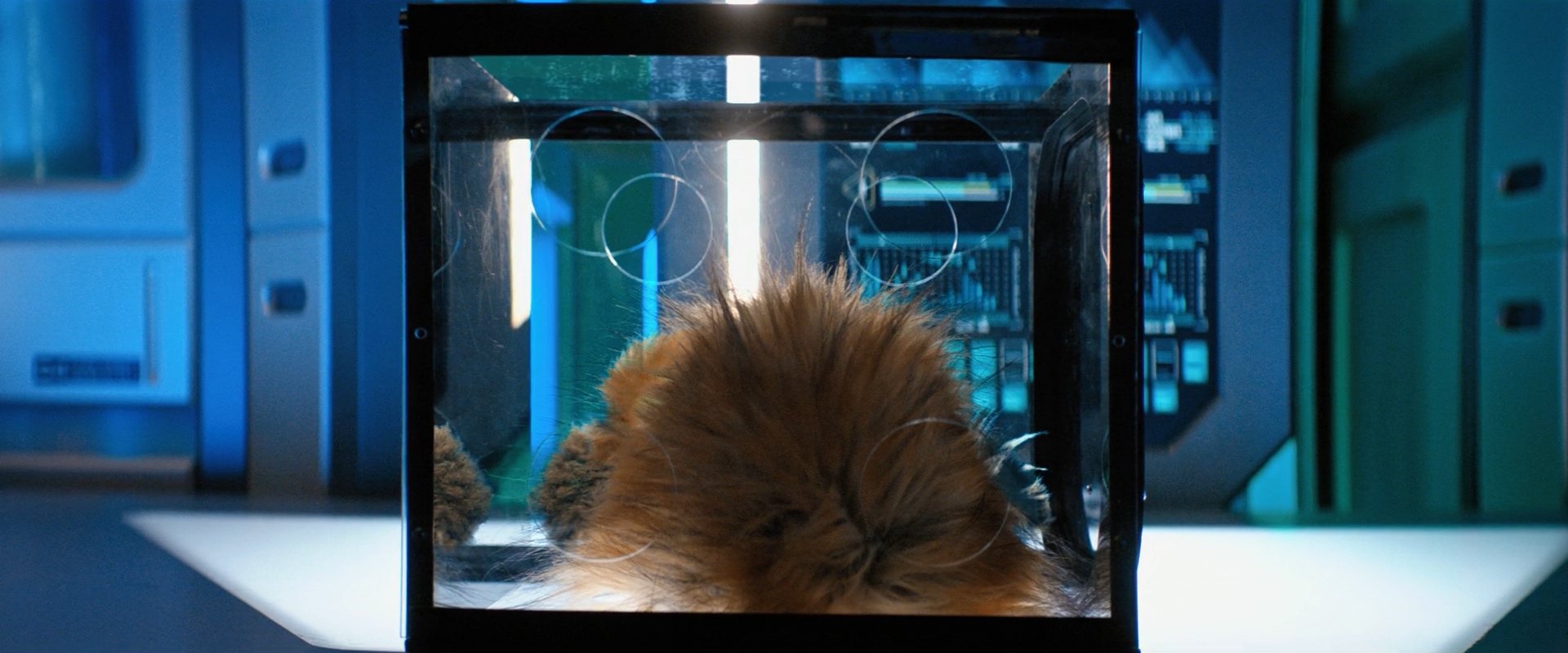 extant_StarTrekDiscovery_ShortTreks0006_TheTroubleWithEdward_00825.jpg