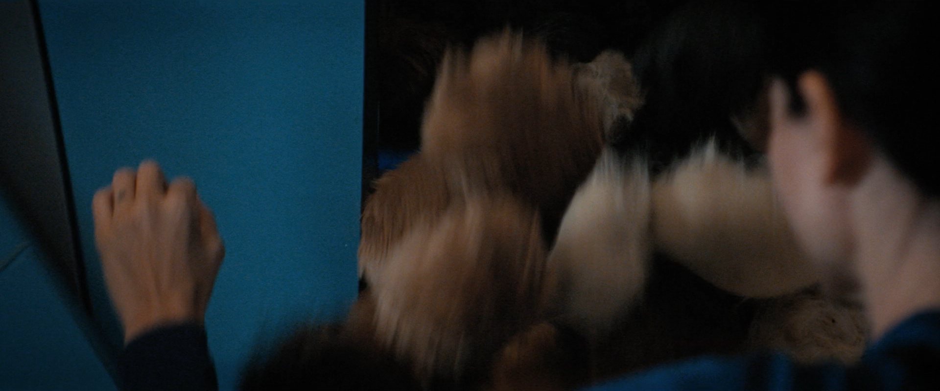 extant_StarTrekDiscovery_ShortTreks0006_TheTroubleWithEdward_01099.jpg